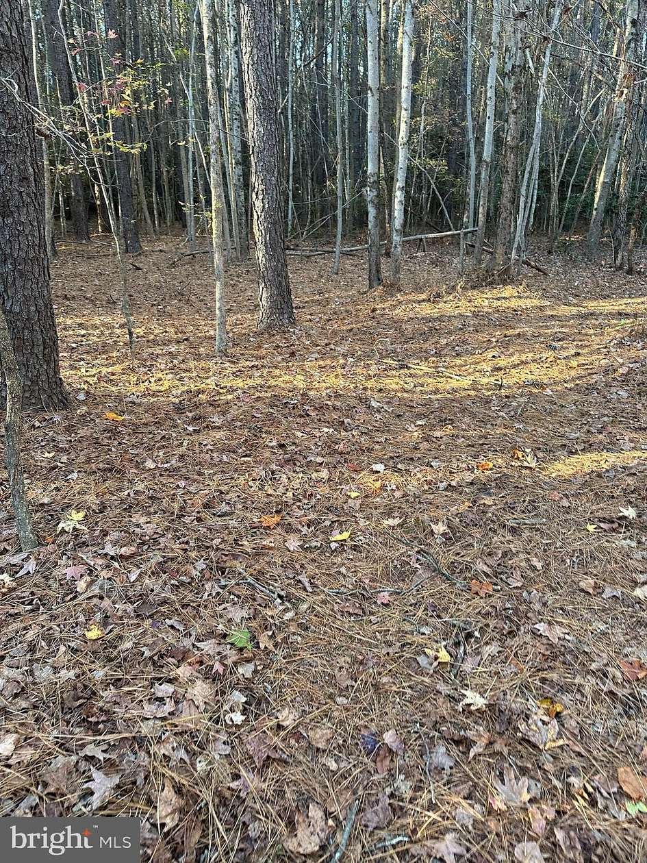 9.01 Acres of Land for Sale in Laurel, Delaware