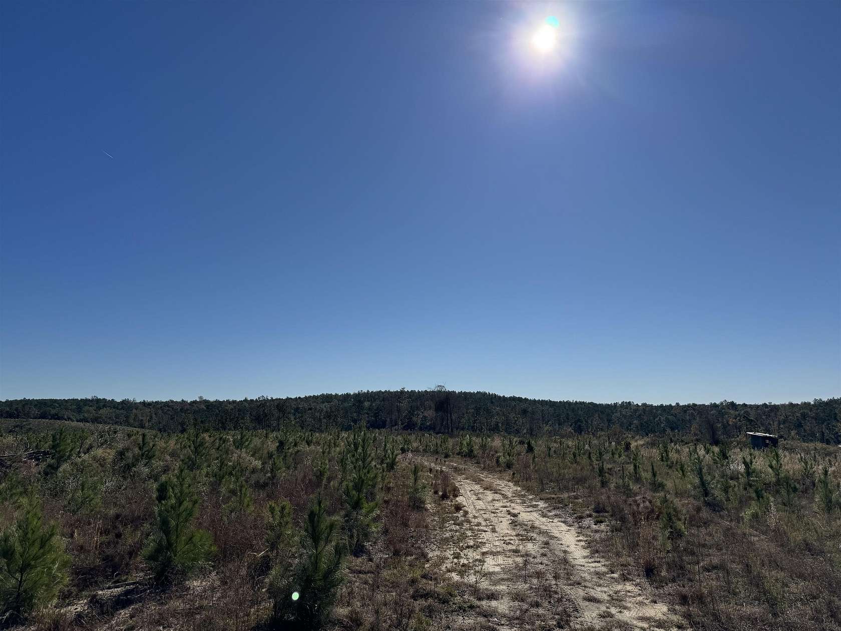 70.92 Acres of Land for Sale in Chattahoochee, Florida