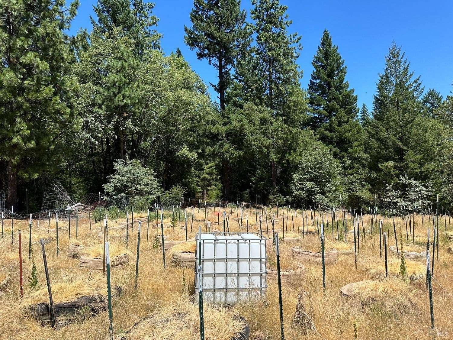 31.19 Acres of Land for Sale in Upper Lake, California