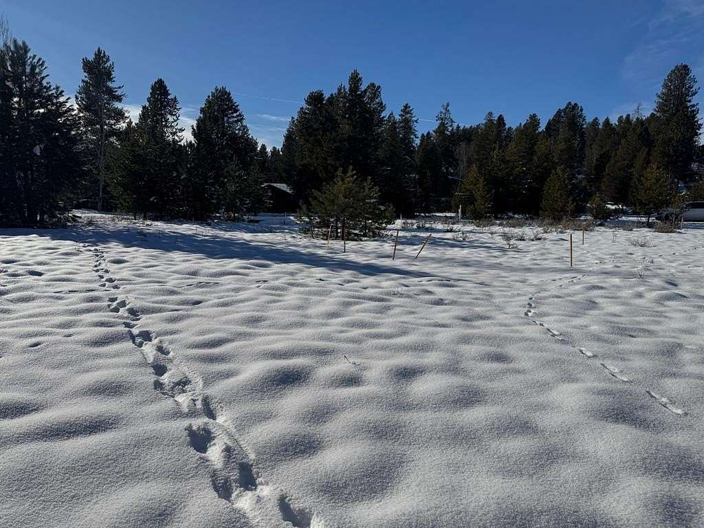 0.41 Acres of Residential Land for Sale in McCall, Idaho