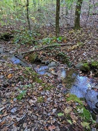 Land for Sale in Hayesville, North Carolina