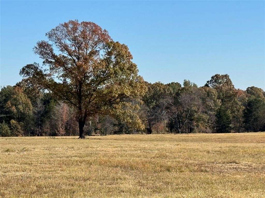 20 Acres of Agricultural Land for Sale in Edgewood, Texas