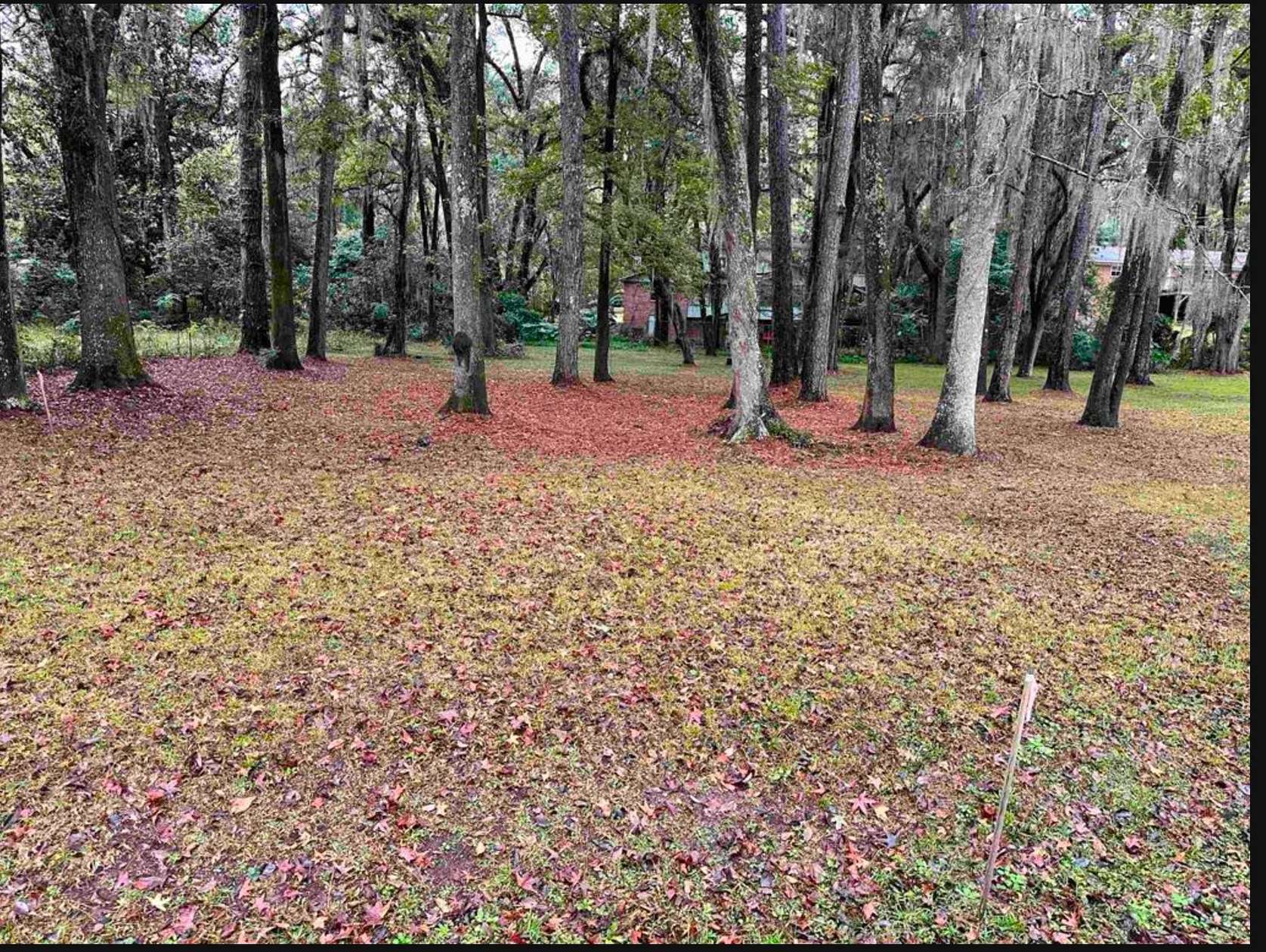 0.6 Acres of Residential Land for Sale in Tallahassee, Florida