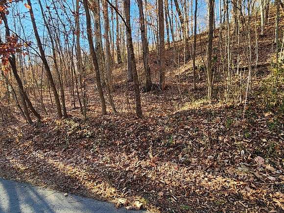 1 Acre of Land for Sale in Whittier, North Carolina