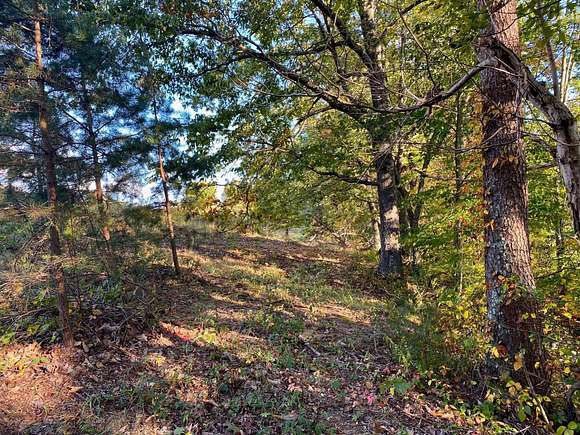 0.76 Acres of Land for Sale in Denniston, Kentucky