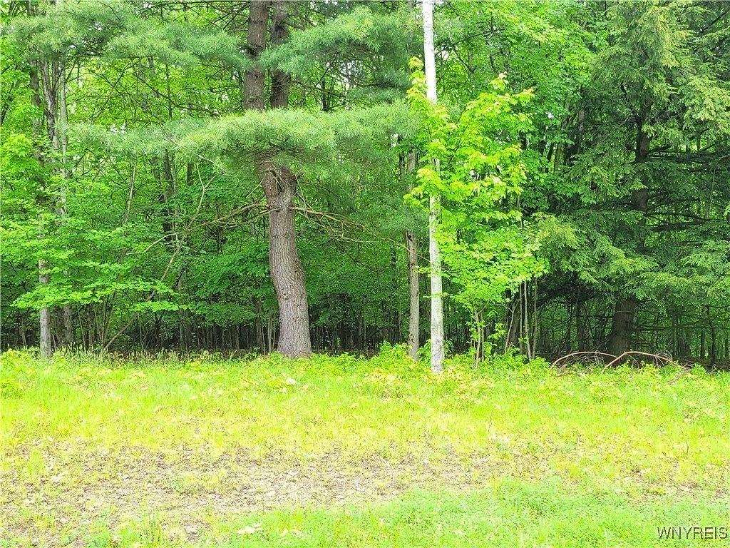 0.53 Acres of Residential Land for Sale in Grove, New York