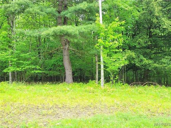 0.53 Acres of Residential Land for Sale in Grove, New York