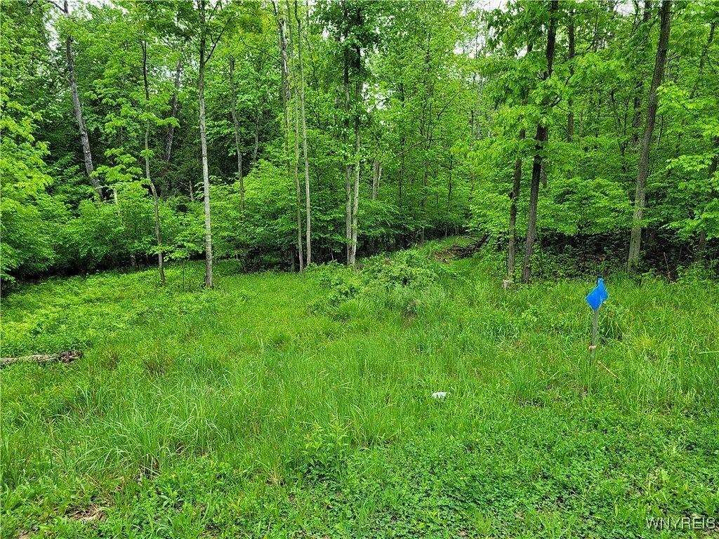 2.32 Acres of Residential Land for Sale in Grove, New York