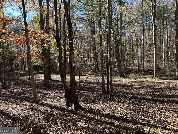 1.18 Acres of Residential Land for Sale in Jackson, Georgia