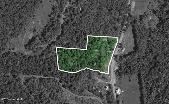 7.29 Acres of Residential Land for Sale in Blenheim Town, New York