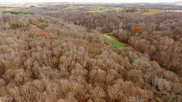 162.6 Acres of Recreational Land for Auction in Millersburg, Ohio