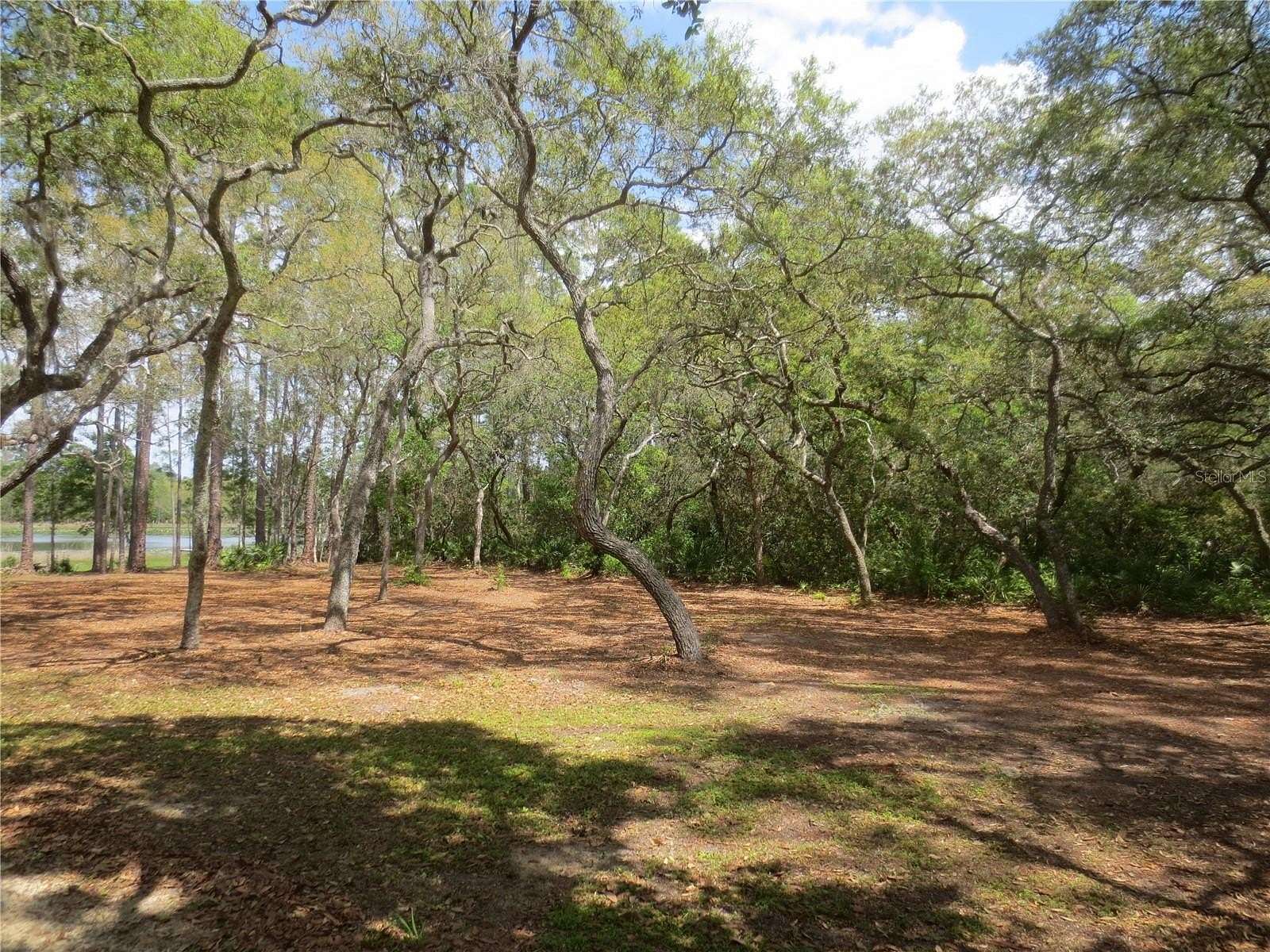 3.99 Acres of Residential Land for Sale in Silver Springs, Florida