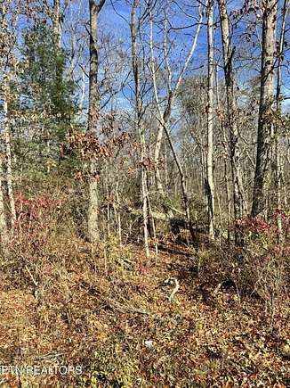 0.23 Acres of Land for Sale in Crossville, Tennessee