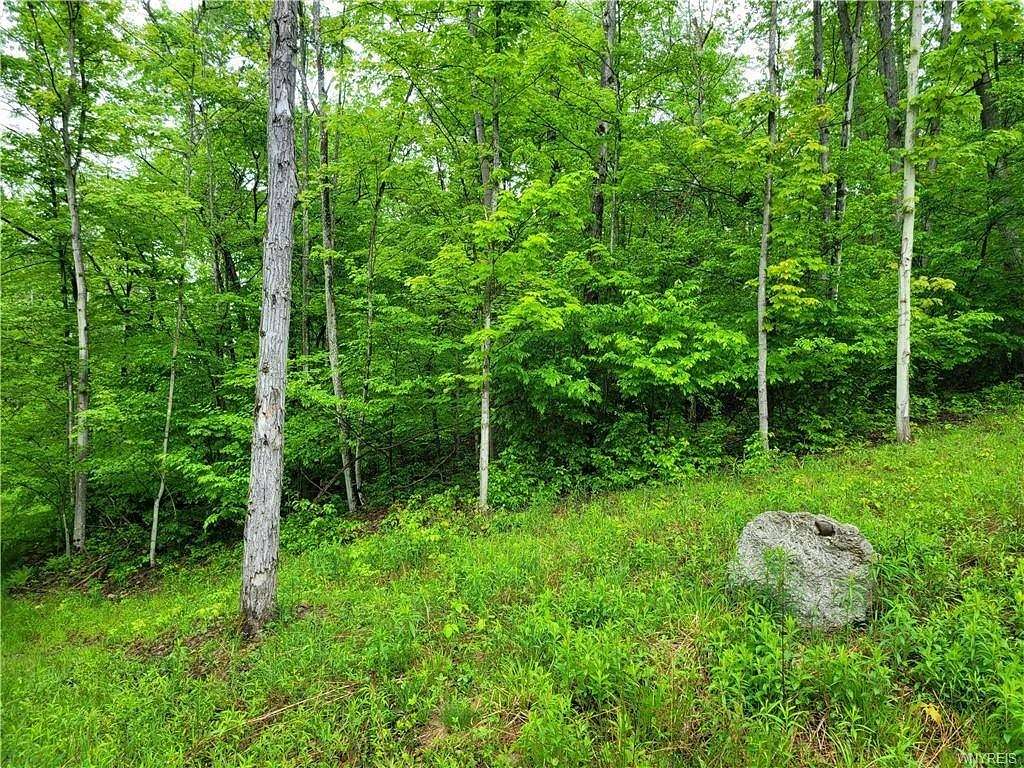 Residential Land for Sale in Grove, New York