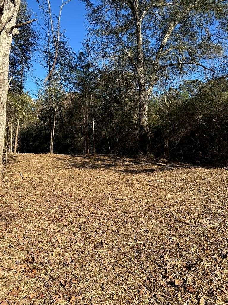 39.5 Acres of Land for Sale in Tylertown, Mississippi