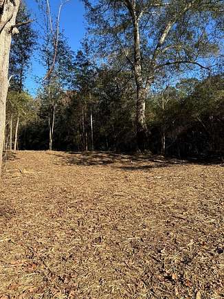 39.5 Acres of Land for Sale in Tylertown, Mississippi