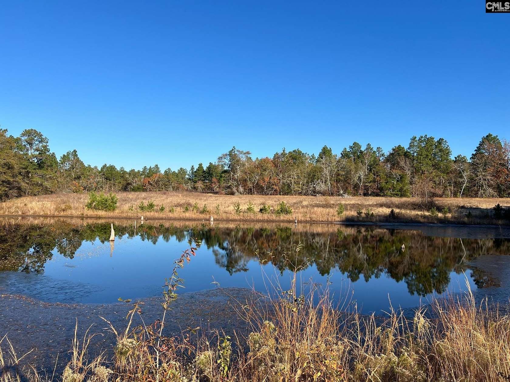 10.79 Acres of Land for Sale in Pelion, South Carolina