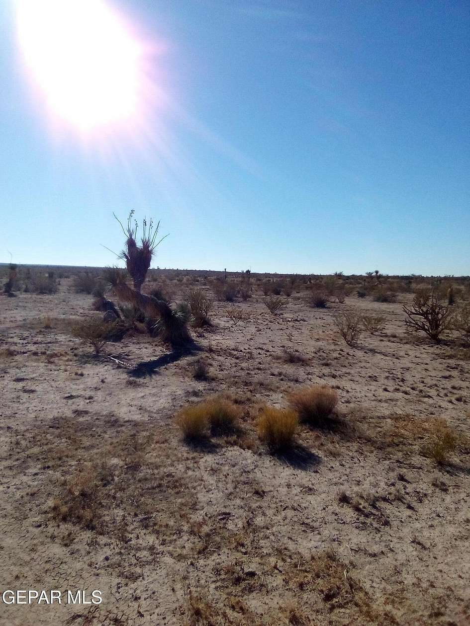 20 Acres of Land for Sale in Sierra Blanca, Texas