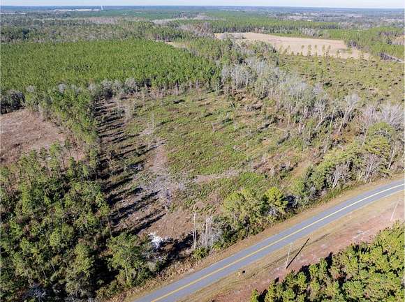 11.72 Acres of Land for Sale in Wellborn, Florida