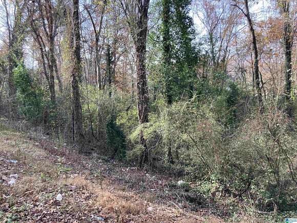 0.53 Acres of Land for Sale in Center Point, Alabama