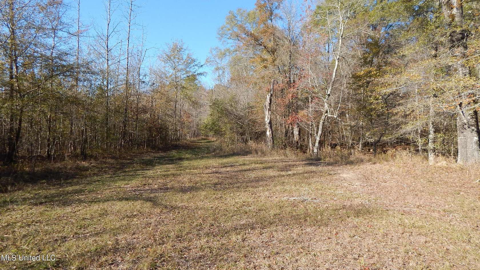 111 Acres of Recreational Land & Farm for Sale in Starkville, Mississippi