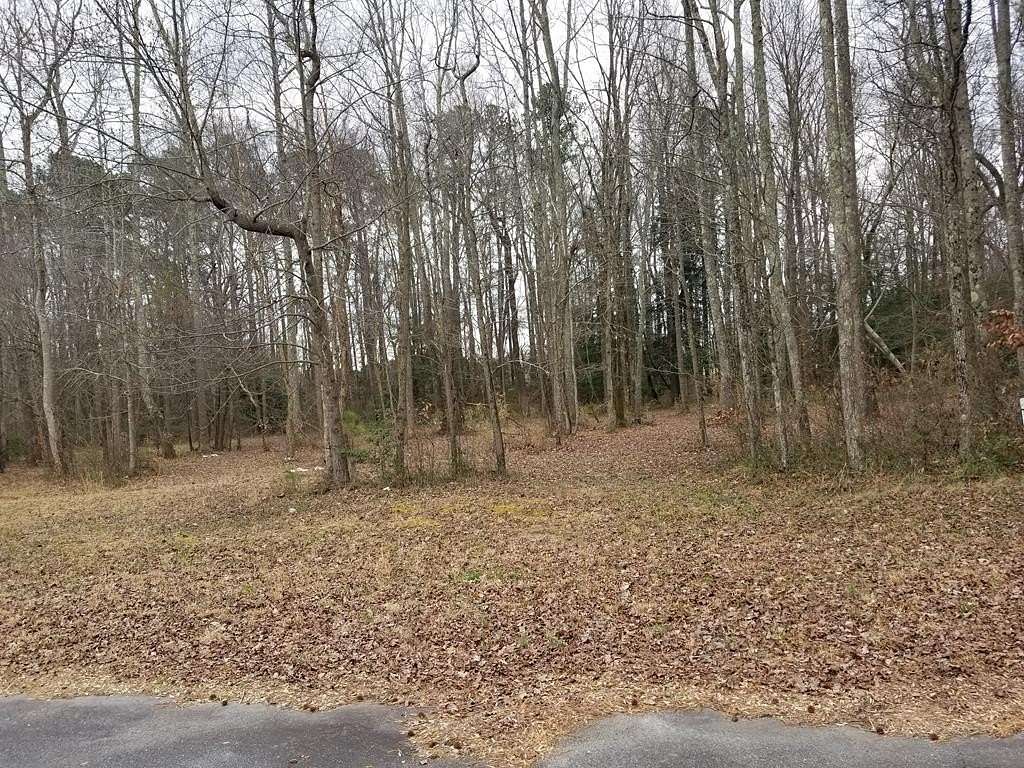 0.3 Acres of Residential Land for Sale in Roanoke Rapids, North Carolina