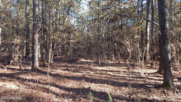 34 Acres of Recreational Land for Sale in Starkville, Mississippi