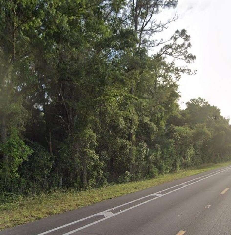 40 Acres of Recreational Land for Sale in Chiefland, Florida