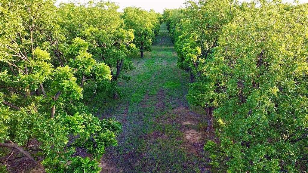 18.43 Acres of Agricultural Land for Sale in De Leon, Texas