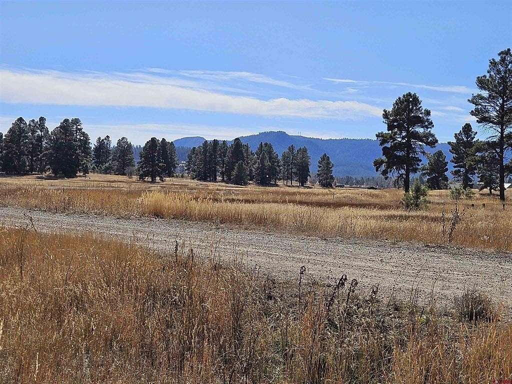 0.23 Acres of Residential Land for Sale in Pagosa Springs, Colorado