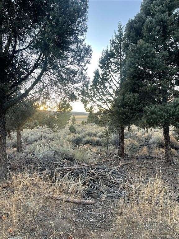 Land for Sale in Big Bear City, California