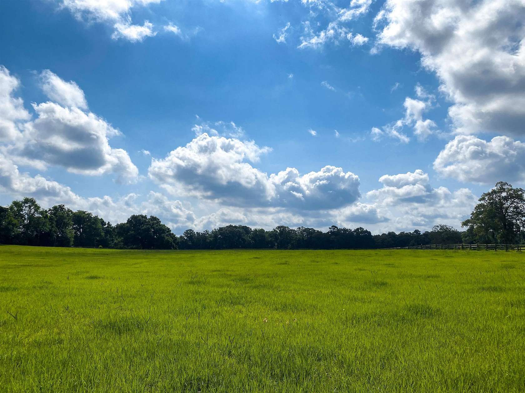 3.09 Acres of Residential Land for Sale in Tallahassee, Florida