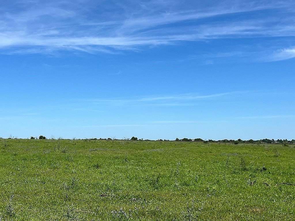 20 Acres of Agricultural Land for Sale in Chappell Hill, Texas