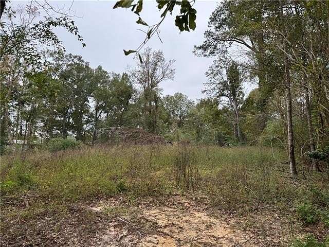 0.37 Acres of Land for Sale in Albany, Louisiana