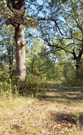 40 Acres of Recreational Land for Sale in Purdy, Missouri