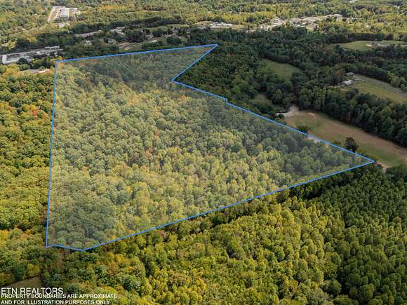 39.17 Acres of Land for Sale in Sunbright, Tennessee