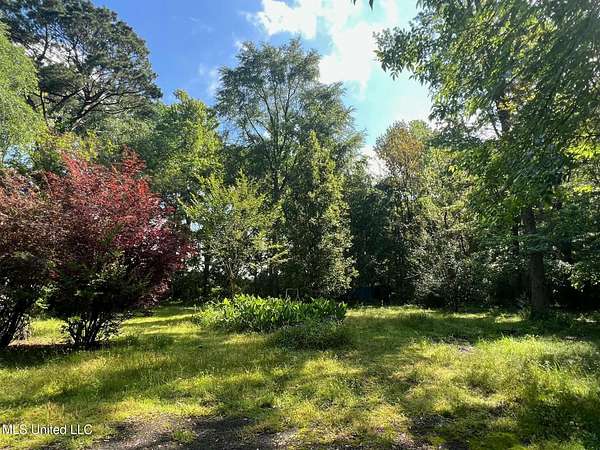 18.3 Acres of Mixed-Use Land for Sale in Pearl, Mississippi