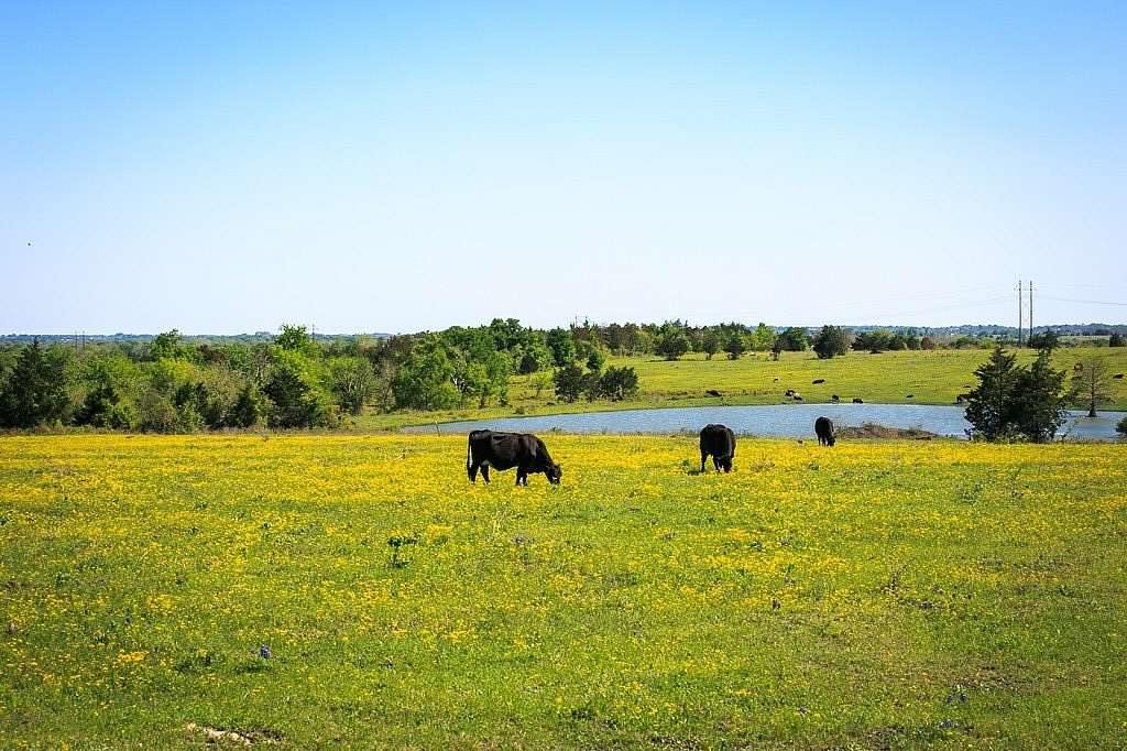 242.89 Acres of Recreational Land & Farm for Sale in Chappell Hill, Texas