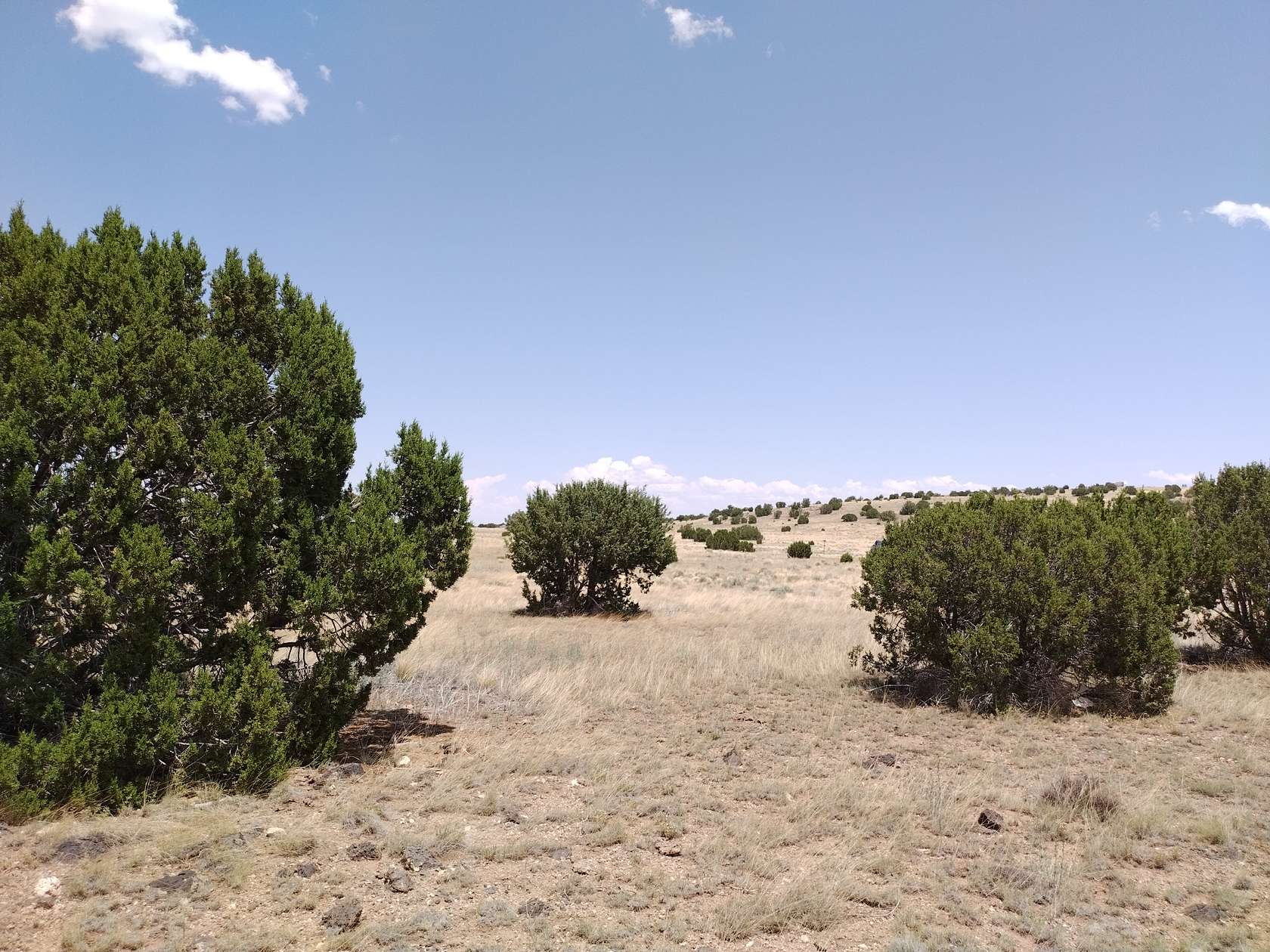 1.05 Acres of Residential Land for Sale in Concho, Arizona