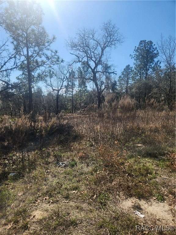 0.23 Acres of Residential Land for Sale in Citrus Springs, Florida