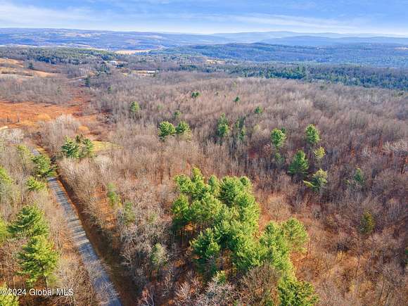 113.41 Acres of Land for Sale in Carlisle, New York