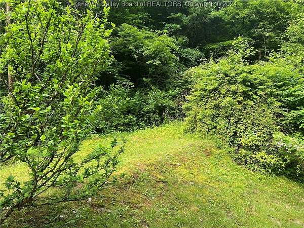 27 Acres of Recreational Land for Sale in Elkview, West Virginia