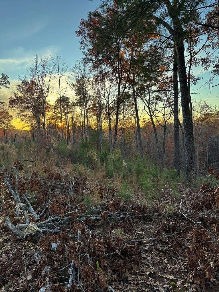 4.03 Acres of Residential Land for Sale in Ellijay, Georgia