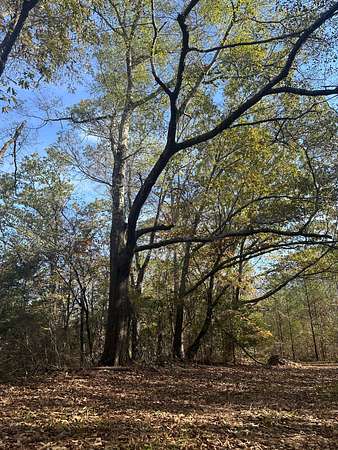 37 Acres of Recreational Land with Home for Sale in Kennedy, Alabama