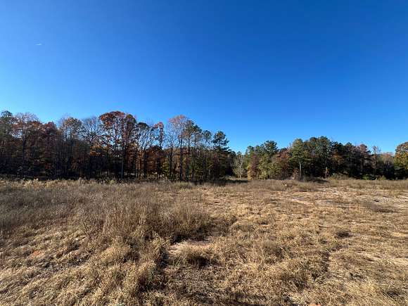 24 Acres of Recreational Land for Sale in Senoia, Georgia