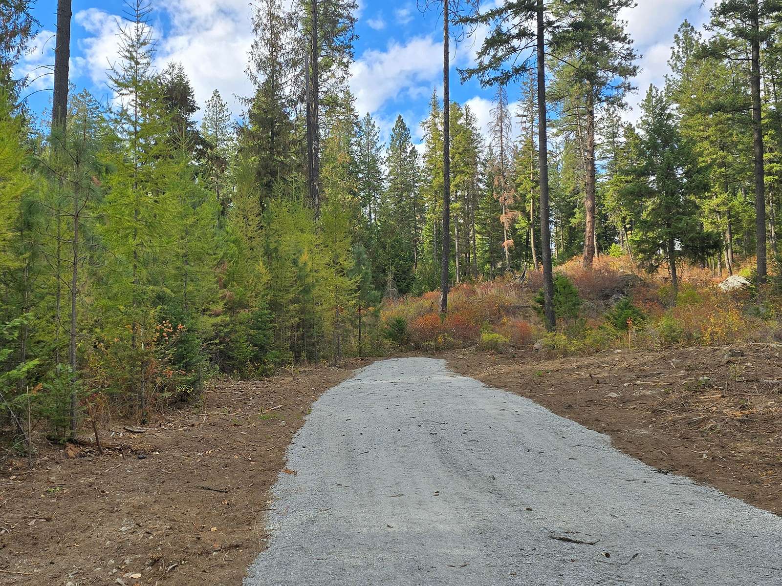 59.7 Acres of Land for Sale in Newport, Washington