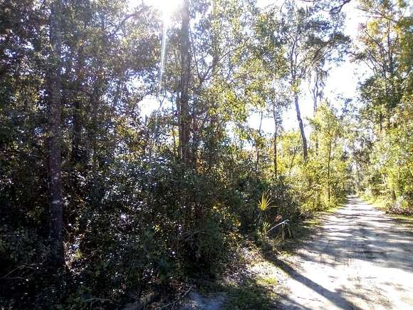 0.23 Acres of Residential Land for Sale in Summerfield, Florida