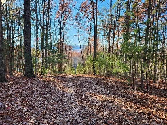 2.08 Acres of Residential Land for Sale in Blue Ridge, Georgia