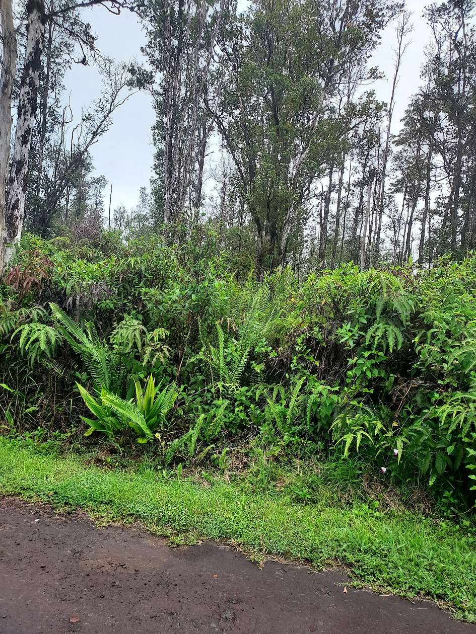 3 Acres of Residential Land for Sale in Mountain View, Hawaii