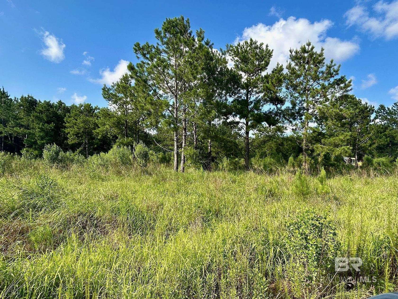 0.25 Acres of Residential Land for Sale in Foley, Alabama